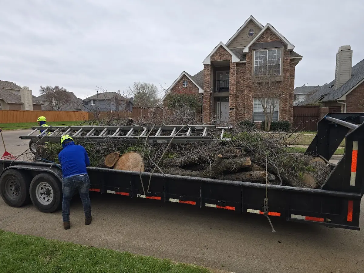 Expert Tree Fertilization with proper safety equipment in Frannie
